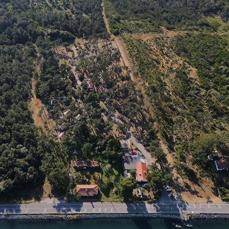 Parque De Campismo Orbitur Sao Jacinto Hotel Kültér fotó